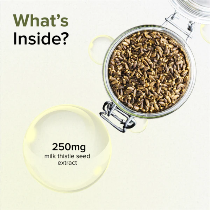 GNC Milk Thistle